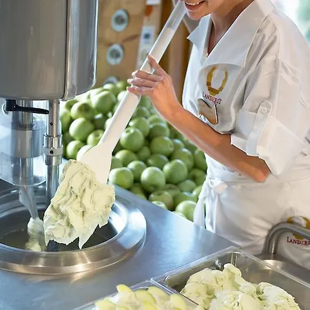 Hotell Landzeit Tauernalm Flachau